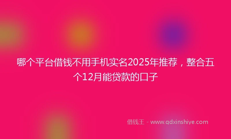 哪个平台借钱不用手机实名2025年推荐，整合五个12月能贷款的口子
