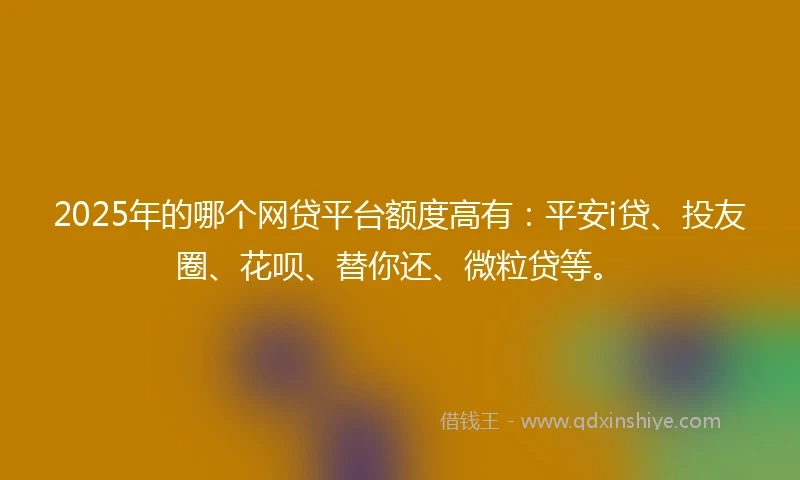 2025年的哪个网贷平台额度高有：平安i贷、投友圈、花呗、替你还、微粒贷等。