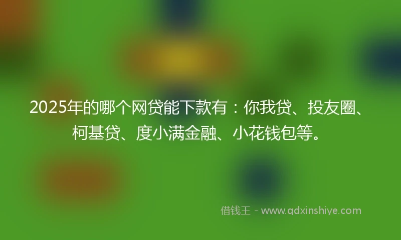 2025年的哪个网贷能下款有：你我贷、投友圈、柯基贷、度小满金融、小花钱包等。