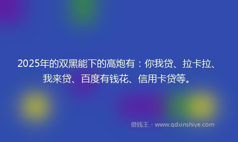 2025年的双黑能下的高炮有：你我贷、拉卡拉、我来贷、百度有钱花、信用卡贷等。