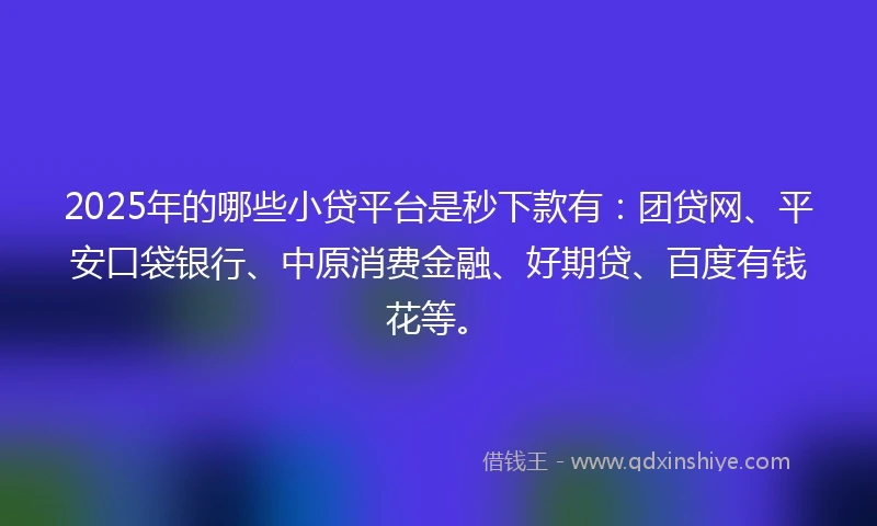 2025年的哪些小贷平台是秒下款有：团贷网、平安口袋银行、中原消费金融、好期贷、百度有钱花等。