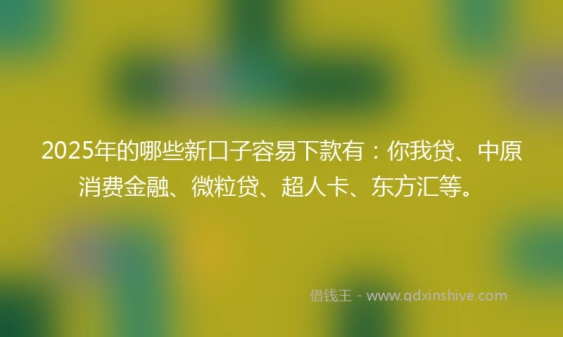 2025年的哪些新口子容易下款有：你我贷、中原消费金融、微粒贷、超人卡、东方汇等。