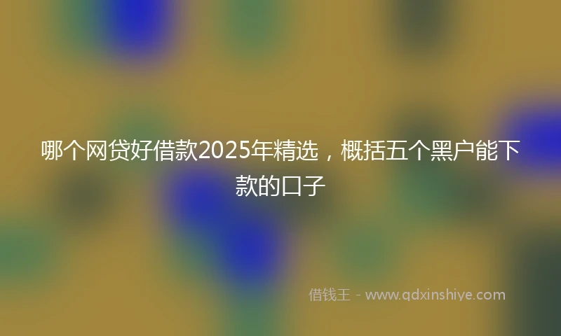 哪个网贷好借款2025年精选，概括五个黑户能下款的口子
