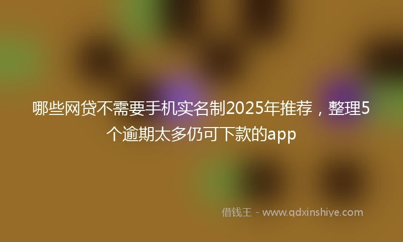 哪些网贷不需要手机实名制2025年推荐，整理5个逾期太多仍可下款的app