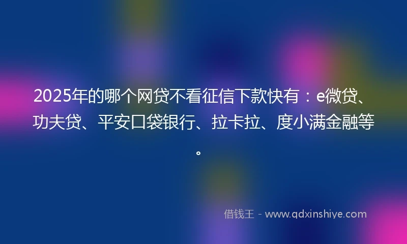 2025年的哪个网贷不看征信下款快有：e微贷、功夫贷、平安口袋银行、拉卡拉、度小满金融等。