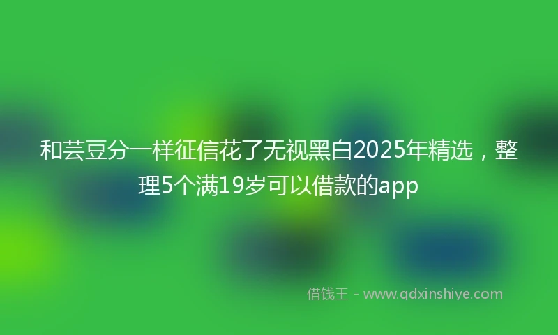 和芸豆分一样征信花了无视黑白2025年精选，整理5个满19岁可以借款的app