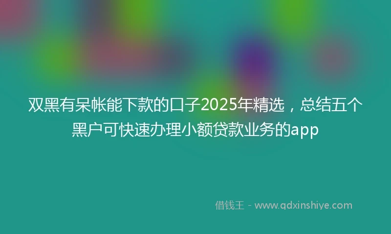双黑有呆帐能下款的口子2025年精选，总结五个黑户可快速办理小额贷款业务的app