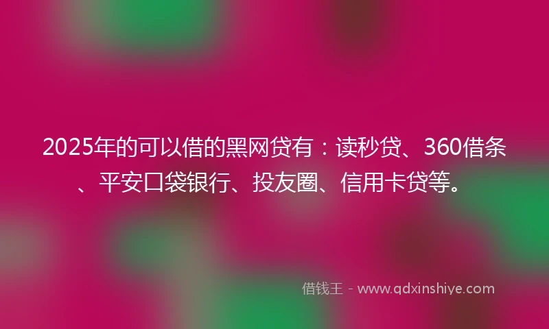 2025年的可以借的黑网贷有:读秒贷、360借条、平安口袋银行、投友圈、信用卡贷等。