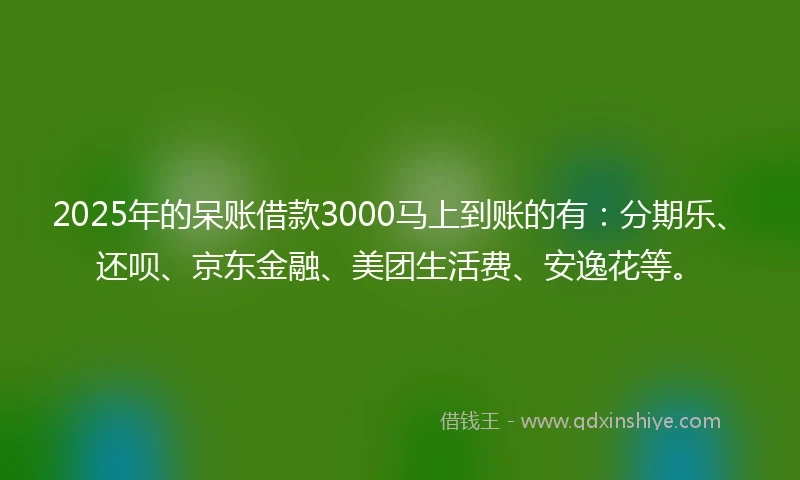 2025年的呆账借款3000马上到账的有：分期乐、还呗、京东金融、美团生活费、安逸花等。
