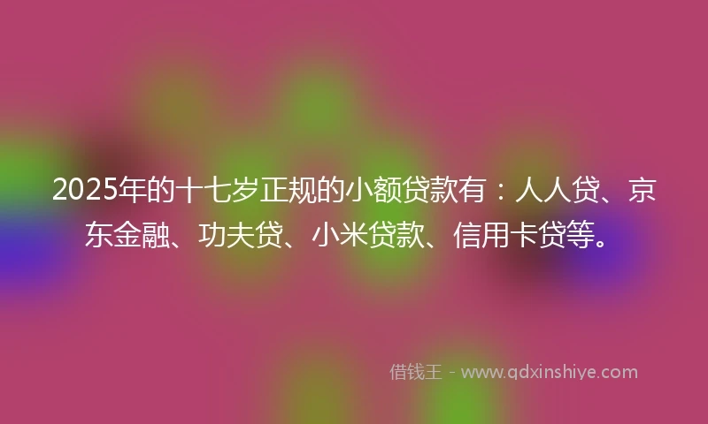 2025年的十七岁正规的小额贷款有：人人贷、京东金融、功夫贷、小米贷款、信用卡贷等。