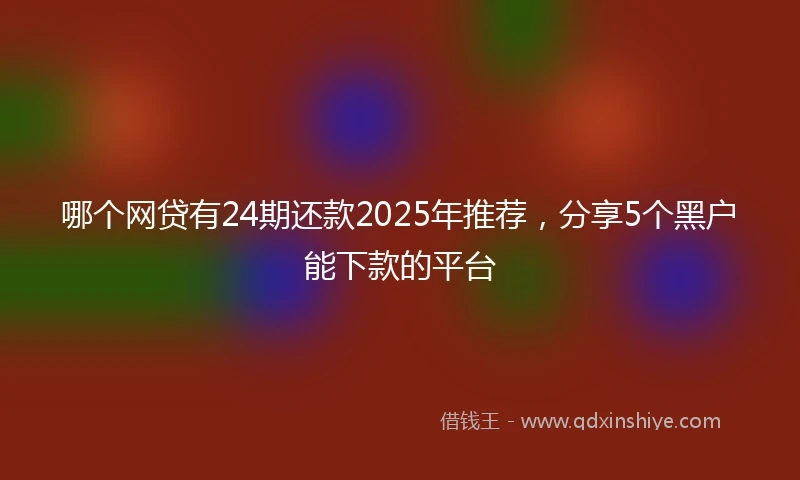 哪个网贷有24期还款2025年推荐，分享5个黑户能下款的平台