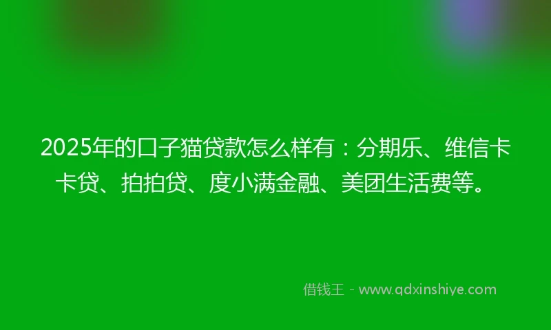 2025年的口子猫贷款怎么样有：分期乐、维信卡卡贷、拍拍贷、度小满金融、美团生活费等。
