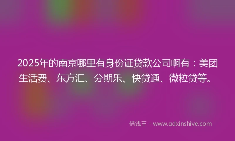 2025年的南京哪里有身份证贷款公司啊有：美团生活费、东方汇、分期乐、快贷通、微粒贷等。