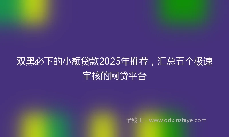 双黑必下的小额贷款2025年推荐，汇总五个极速审核的网贷平台