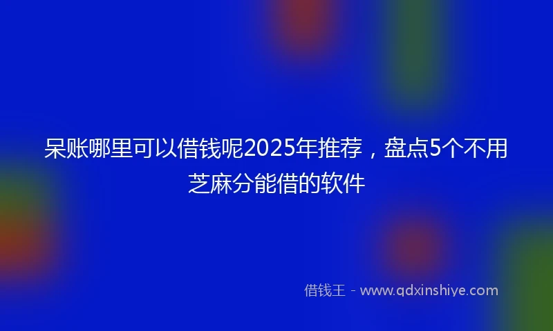 呆账哪里可以借钱呢2025年推荐，盘点5个不用芝麻分能借的软件