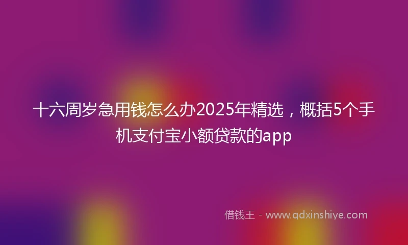 十六周岁急用钱怎么办2025年精选，概括5个手机支付宝小额贷款的app