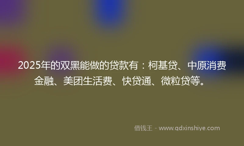 2025年的双黑能做的贷款有：柯基贷、中原消费金融、美团生活费、快贷通、微粒贷等。