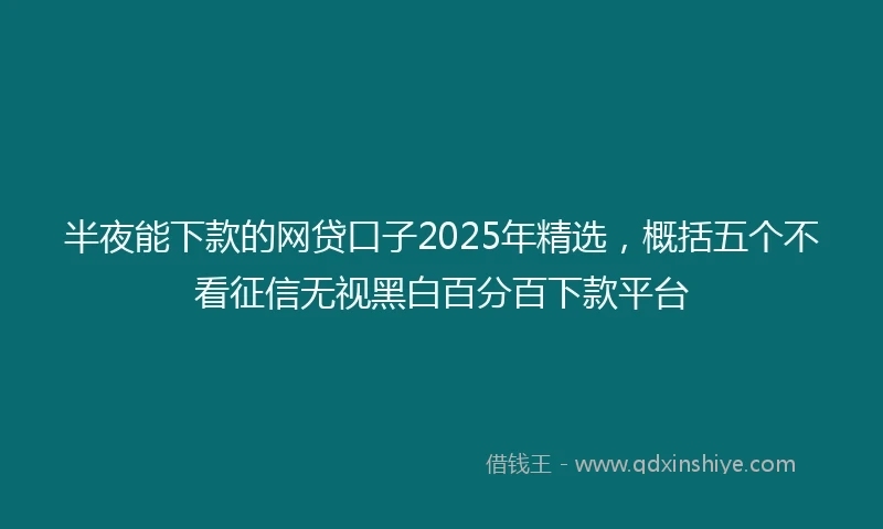 半夜能下款的网贷口子2025年精选，概括五个不看征信无视黑白百分百下款平台