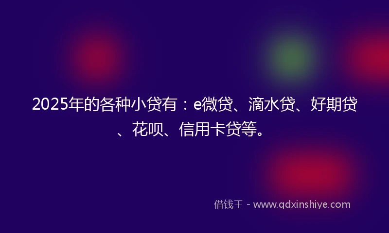 2025年的各种小贷有:e微贷、滴水贷、好期贷、花呗、信用卡贷等。