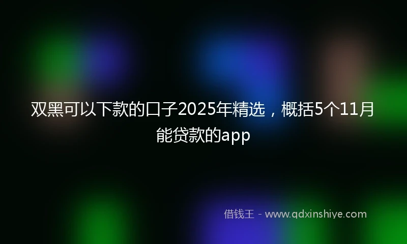 双黑可以下款的口子2025年精选，概括5个11月能贷款的app