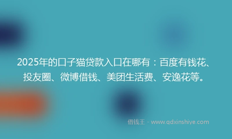 2025年的口子猫贷款入口在哪有：百度有钱花、投友圈、微博借钱、美团生活费、安逸花等。