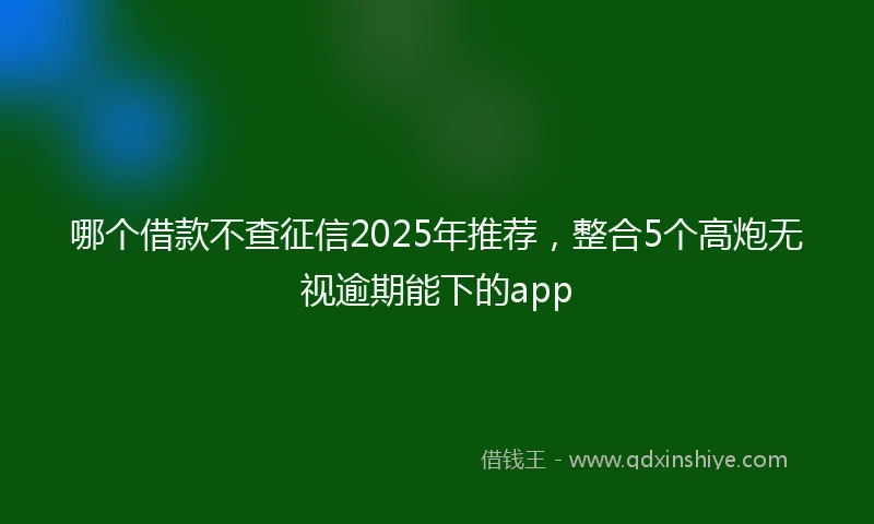 哪个借款不查征信2025年推荐，整合5个高炮无视逾期能下的app