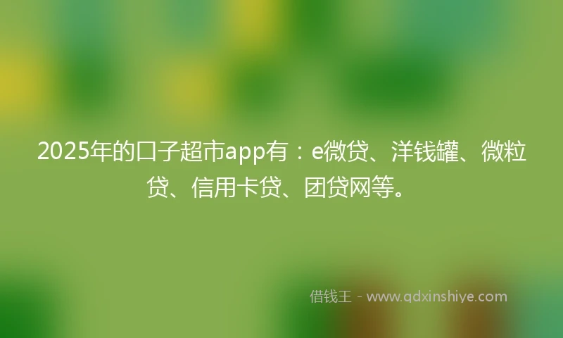 2025年的口子超市app有:e微贷、洋钱罐、微粒贷、信用卡贷、团贷网等。