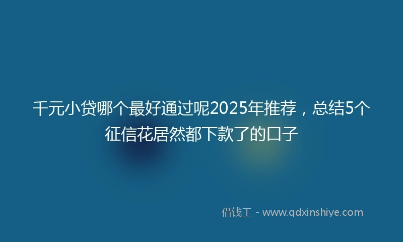 千元小贷哪个最好通过呢2025年推荐，总结5个征信花居然都下款了的口子