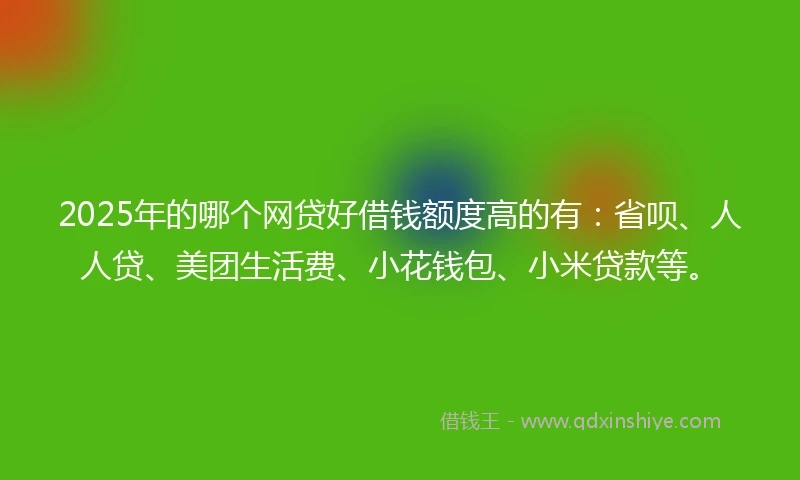 2025年的哪个网贷好借钱额度高的有：省呗、人人贷、美团生活费、小花钱包、小米贷款等。