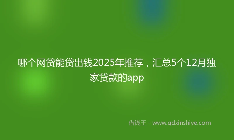 哪个网贷能贷出钱2025年推荐，汇总5个12月独家贷款的app