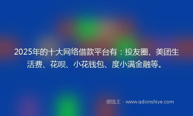 2025年的十大网络借款平台有：投友圈、美团生活费、花呗、小花钱包、度小满金融等。