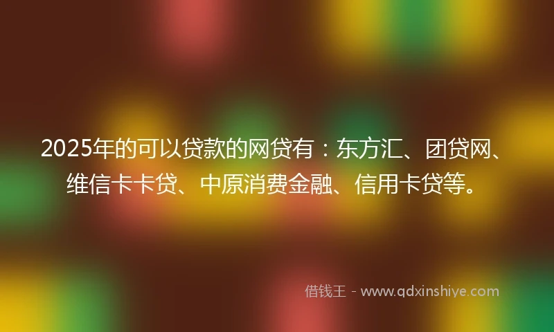 2025年的可以贷款的网贷有：东方汇、团贷网、维信卡卡贷、中原消费金融、信用卡贷等。