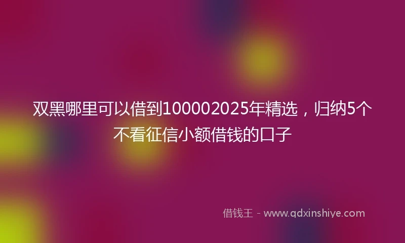 双黑哪里可以借到100002025年精选，归纳5个不看征信小额借钱的口子