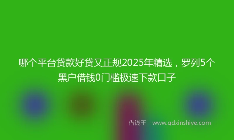 哪个平台贷款好贷又正规2025年精选，罗列5个黑户借钱0门槛极速下款口子