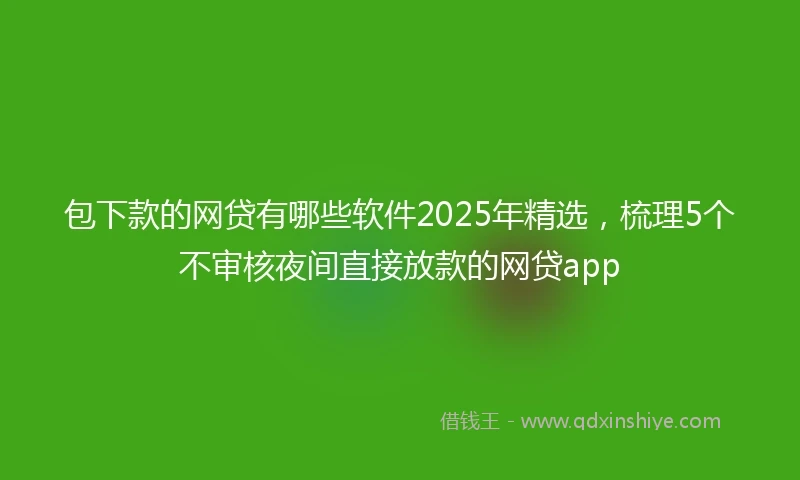 包下款的网贷有哪些软件2025年精选，梳理5个不审核夜间直接放款的网贷app
