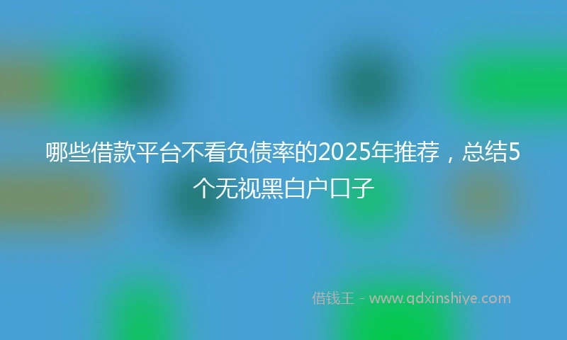 哪些借款平台不看负债率的2025年推荐，总结5个无视黑白户口子