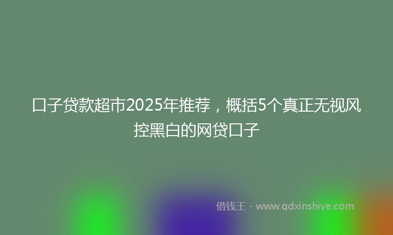口子贷款超市2025年推荐,概括5个真正无视风控黑白的网贷口子