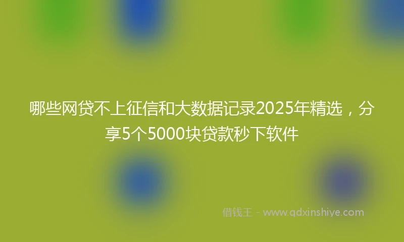 哪些网贷不上征信和大数据记录2025年精选，分享5个5000块贷款秒下软件