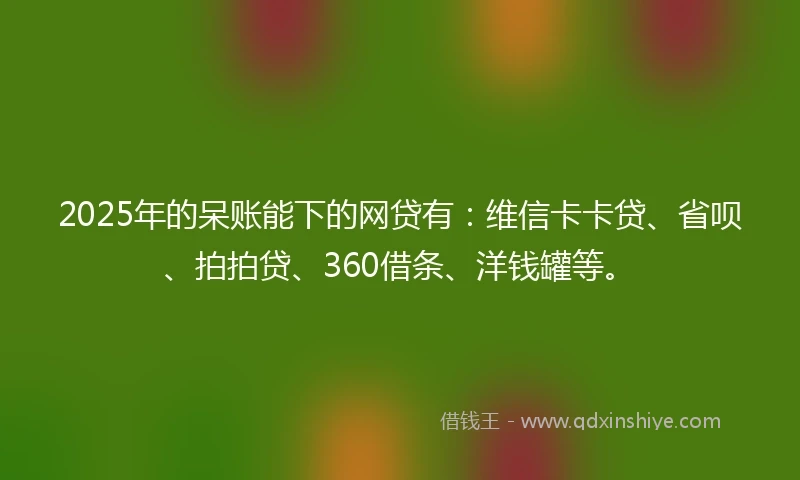 2025年的呆账能下的网贷有：维信卡卡贷、省呗、拍拍贷、360借条、洋钱罐等。