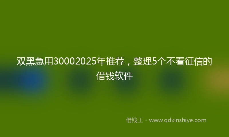 双黑急用30002025年推荐，整理5个不看征信的借钱软件
