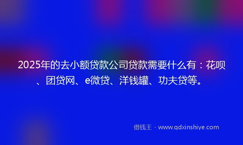 2025年的去小额贷款公司贷款需要什么有：花呗、团贷网、e微贷、洋钱罐、功夫贷等。