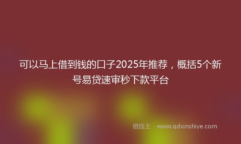 可以马上借到钱的口子2025年推荐，概括5个新号易贷速审秒下款平台