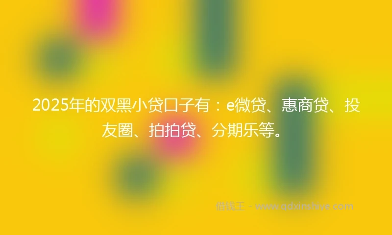 2025年的双黑小贷口子有：e微贷、惠商贷、投友圈、拍拍贷、分期乐等。
