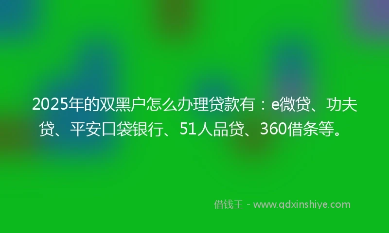 2025年的双黑户怎么办理贷款有：e微贷、功夫贷、平安口袋银行、51人品贷、360借条等。