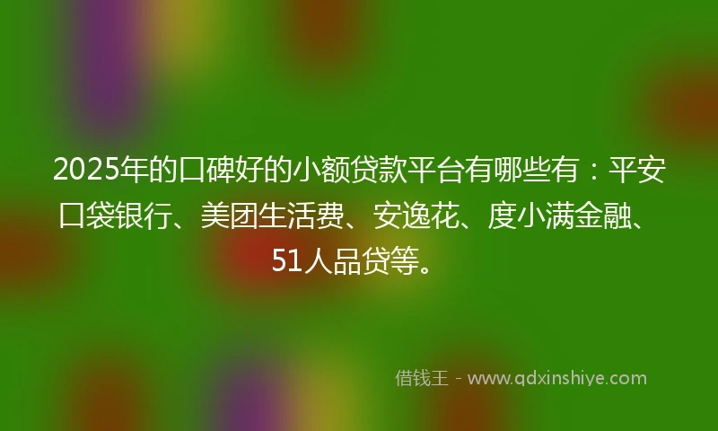 2025年的口碑好的小额贷款平台有哪些有：平安口袋银行、美团生活费、安逸花、度小满金融、51人品贷等。