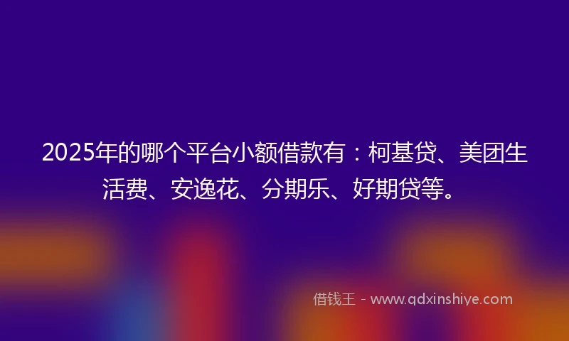 2025年的哪个平台小额借款有：柯基贷、美团生活费、安逸花、分期乐、好期贷等。