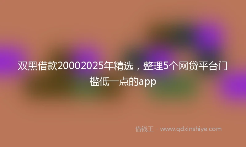 双黑借款20002025年精选，整理5个网贷平台门槛低一点的app