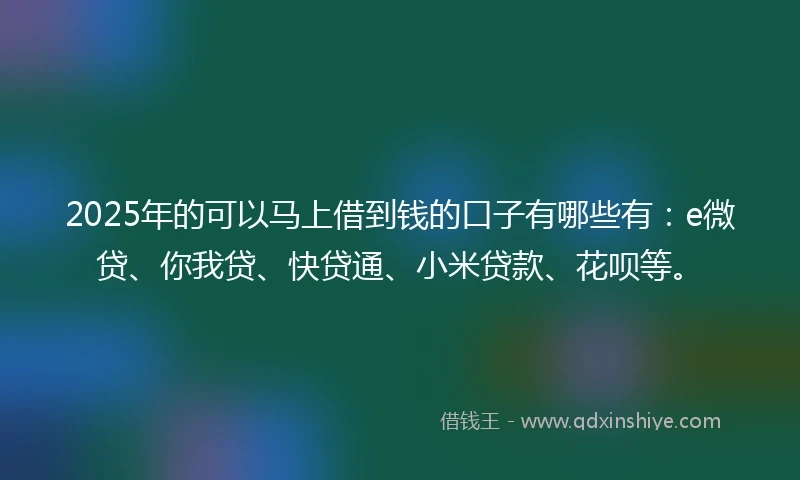 2025年的可以马上借到钱的口子有哪些有:e微贷、你我贷、快贷通、小米贷款、花呗等。