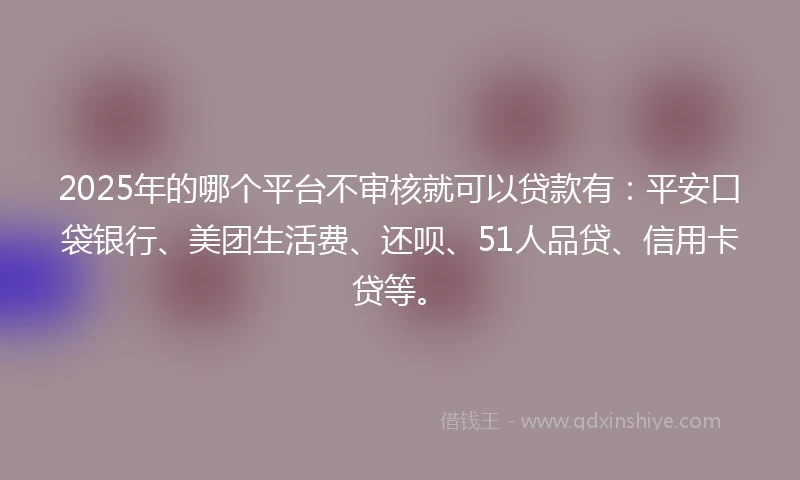2025年的哪个平台不审核就可以贷款有：平安口袋银行、美团生活费、还呗、51人品贷、信用卡贷等。