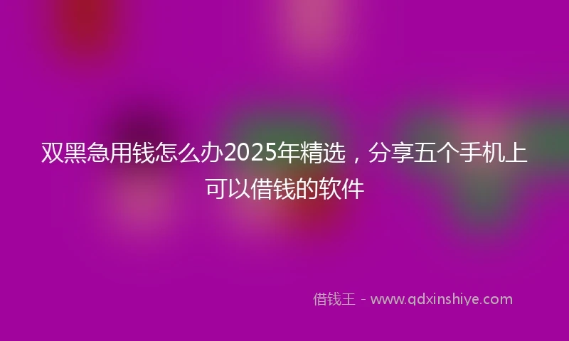双黑急用钱怎么办2025年精选，分享五个手机上可以借钱的软件